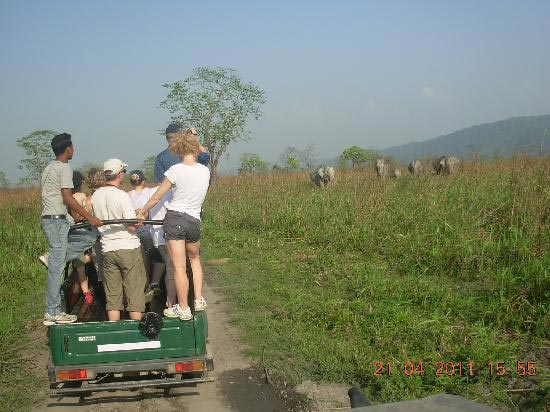 6 Days Kaziranga National Park Tour