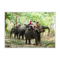 8 Days Bandhavgarh National Park Tour