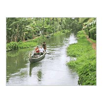 Munnar And Alleppey Houseboat Tour Package