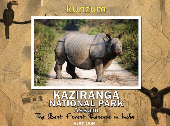 6 Days Kaziranga National Park Tour