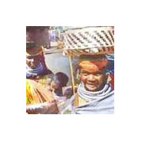 Tribal Tours Packages in India