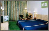 Shingar Regency 3*, Manali