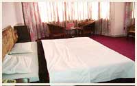 Hotel Manali Palace, Manali