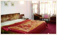 Hotel Manali Palace, Manali