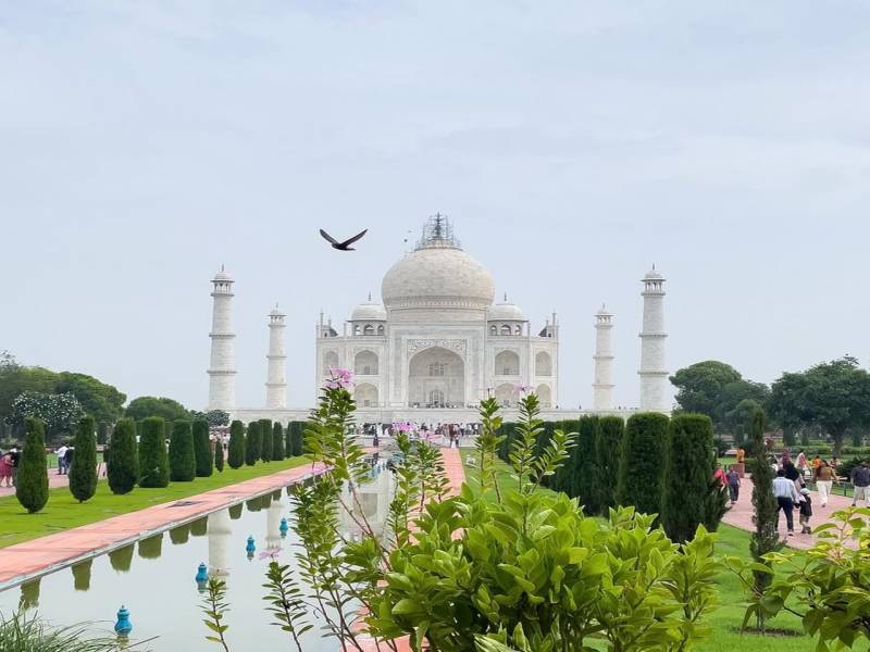 Classic Taj Mahal Tour