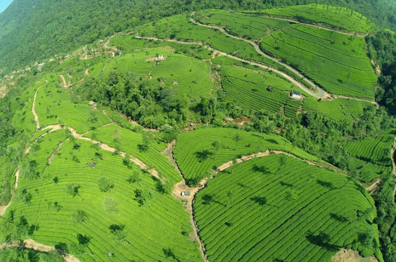 03 Nights  04 Days Munnar With Alleppey Tour