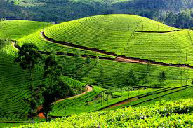Kerala Family Tour
