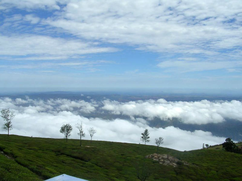 South India Family Tour