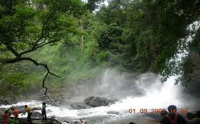 Glimpse of Kerala Package