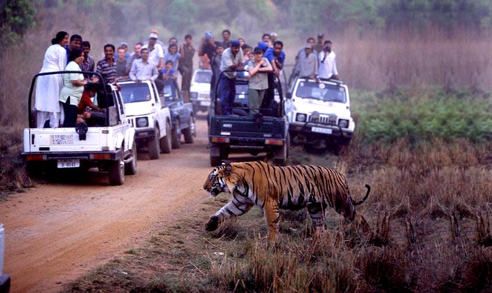 Wildlife Of Rajasthan Tour