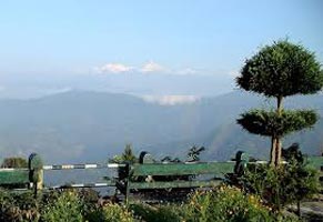 Kalimpong & Gangtok Tour