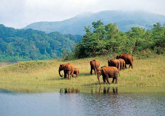 Magical Kerala Tour