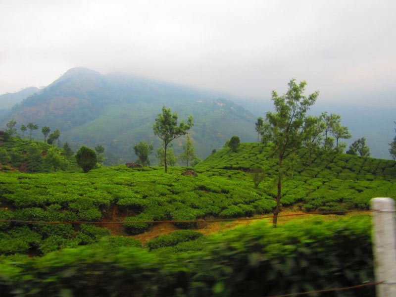 Paradise of Kerala - Honeymoon Tour