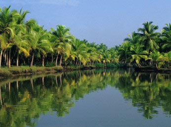 Backwater Magic - Alleppey Tour