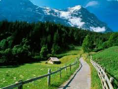 Srinagar - Pahalgam - Sonamarg - Gulmarg Tour