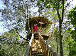 Cochin - Munnar - Thekkady  Tour