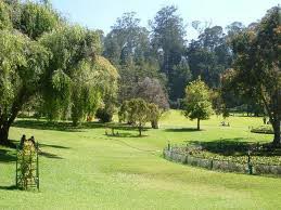 Ooty Honeymoon Package 