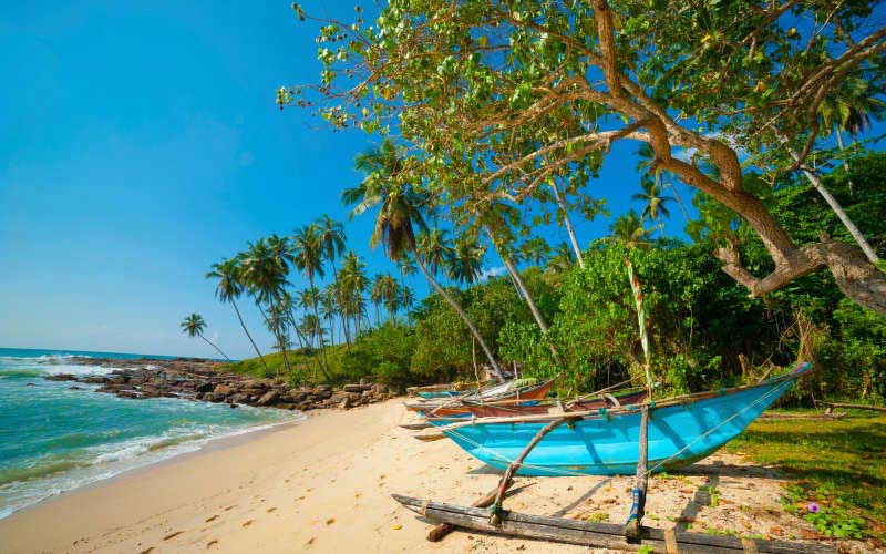 Srilanka Tour - 28500/ - 5 Days