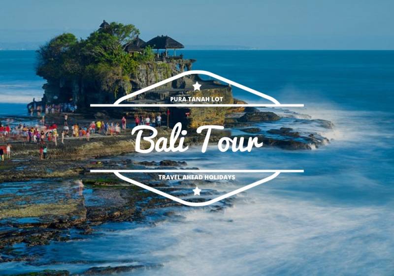 Bali Tour from Chennai Travel Ahead Holidays
