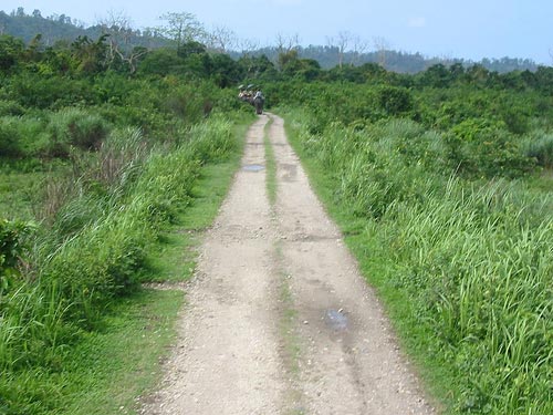 Kaziranga National Park Tour (04 Days/03 Nights)