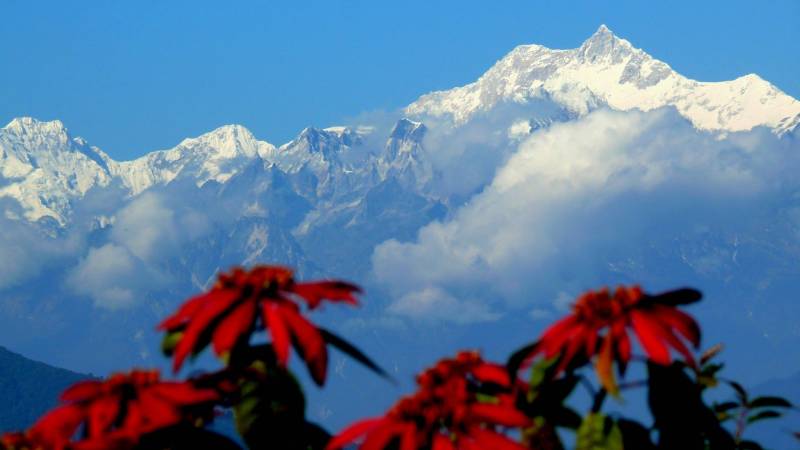 Darjeeling - Gangtok - Kalimpong Tour