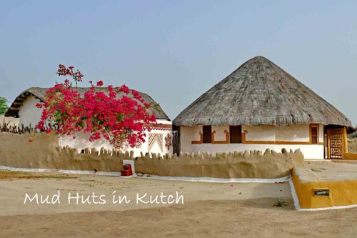 Kutch Tour Package