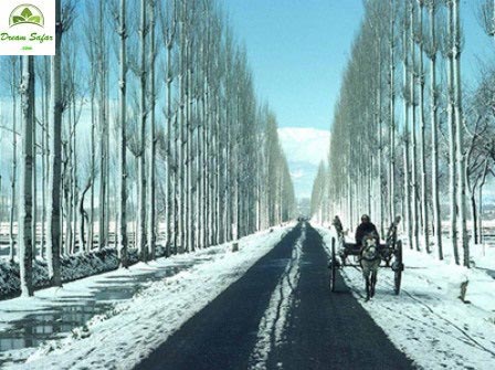 Srinagar Sonmarg Pahalgam Gulmarg Tour 