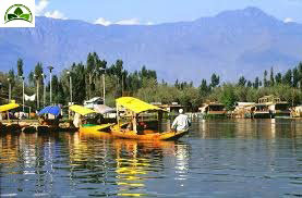 Beautiful Kashmir Tour