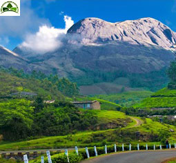 Kerala Holidays With Munnar Thekkady Alleppey Tour