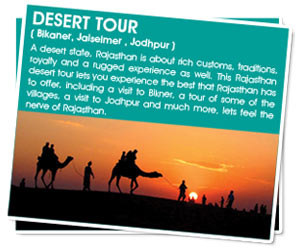 Desert Tour
