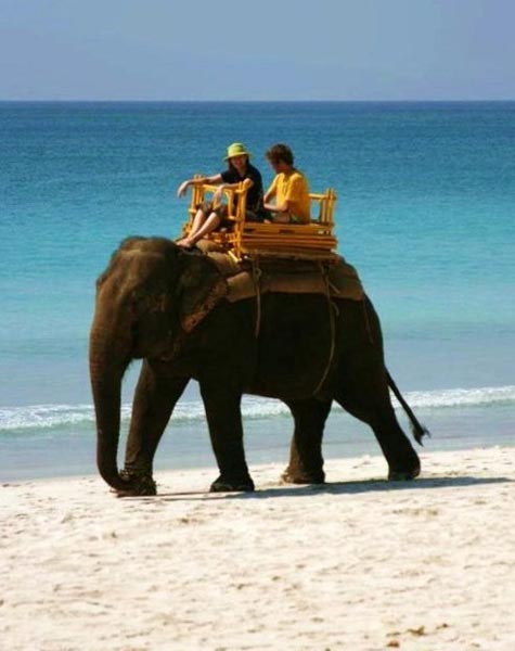 Havelock Escapade with a glimpse of Port Blair Tour Image