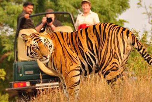 Ayodhya - Pokhara - Muktinath - Kathmandu - Chitwan Tour