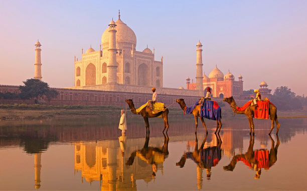 The Great Taj Tour 3