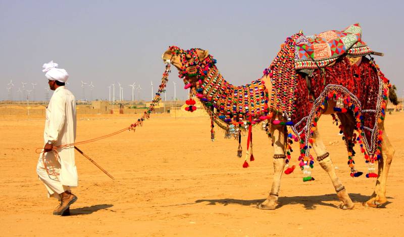 Rajasthan Camel Safari Tour