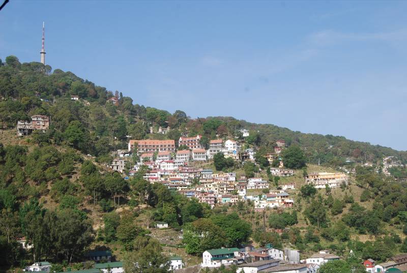 Royal Shimla Kasauli Tour