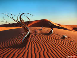 Rajasthan Tour Package