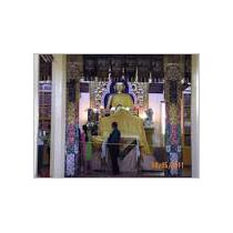 Amritsar - Dharamshala - Palampur Tour