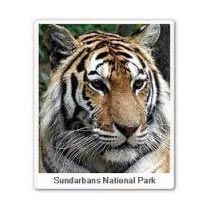 Eastern Himalayan Tour