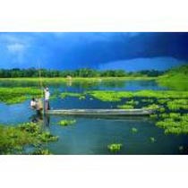 North East Experience - Assam and Meghalaya Tour