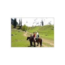 Leh Holiday Package - 2014