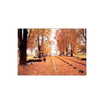 Leh Holiday Package - 2014