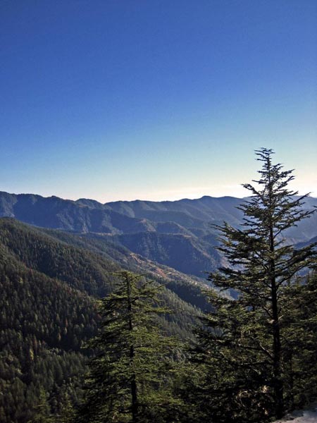 Kufri Shimla Package Tour Program