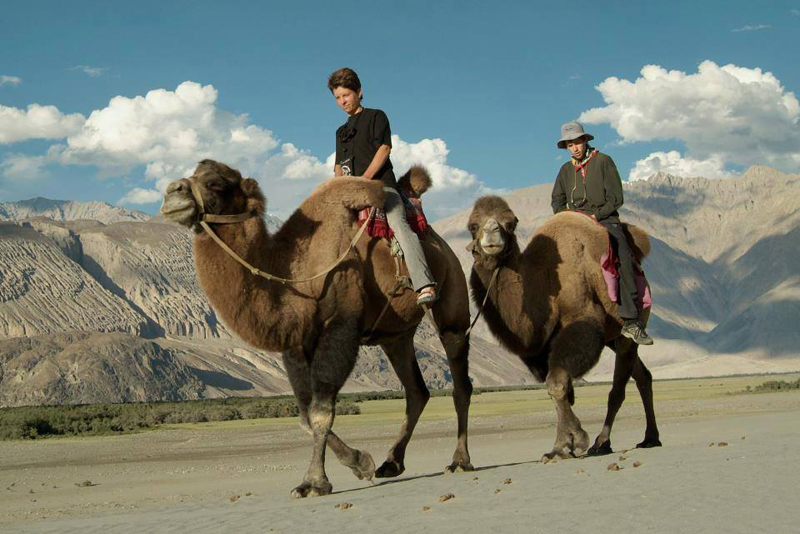 Best Of Ladakh Tour