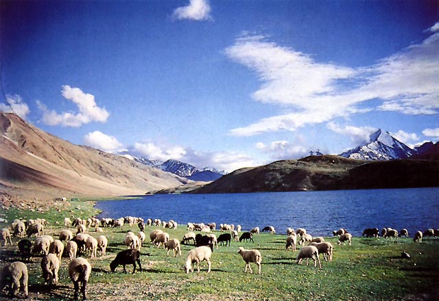 Shimla-Kinnaur-Lahaul Spiti Trip Tour