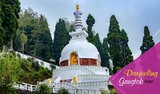 Darjeeling Gangtok Package Tour for 4n 5d Starting Rs 12850 per Head