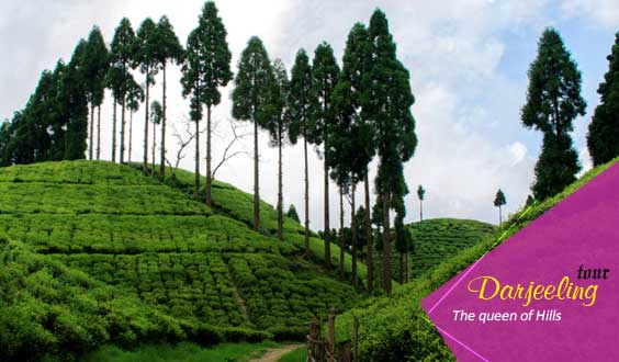 Darjeeling Package Tour
