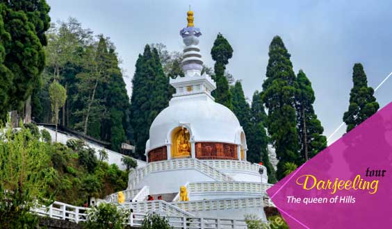 Darjeeling Package Tour