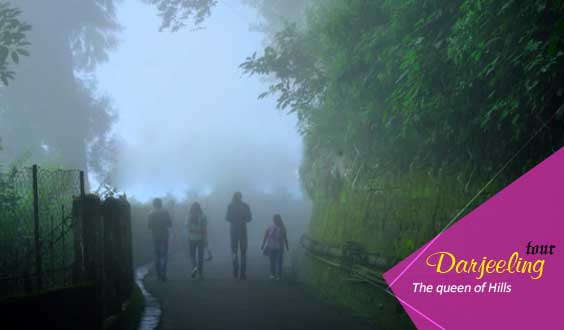 Darjeeling Package Tour