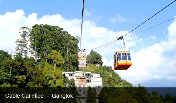 Gangtok - Pelling - Ravangla Tour