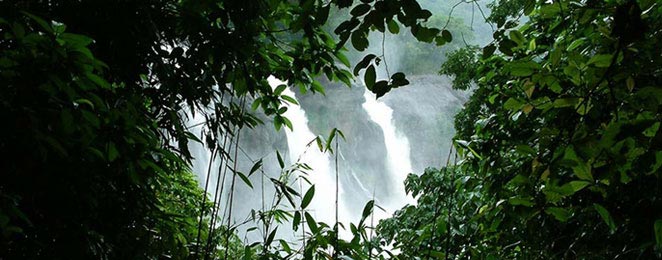 Kerala Waterfall & Backwaters From Apparent Tour